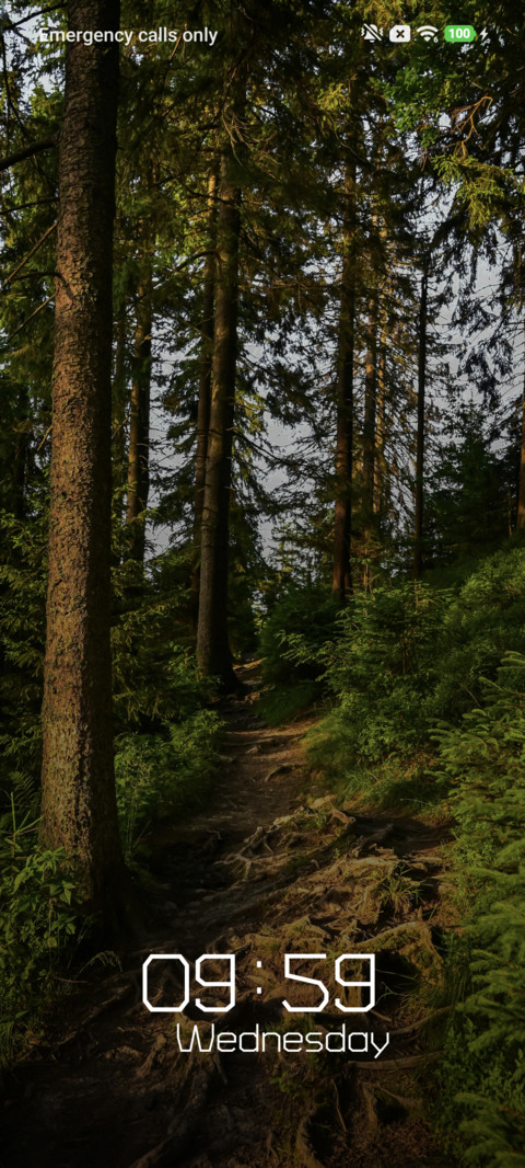 Forest Trail screenshot