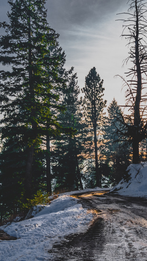 Winter Road screenshot