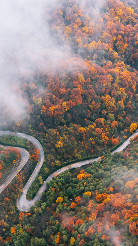 Autumn colors paint the Qinling Mountains in fall. screenshot