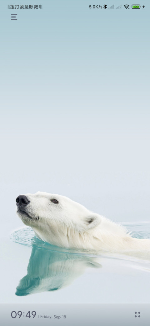 Polar screenshot