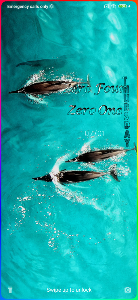 Dolphin Jess screenshot