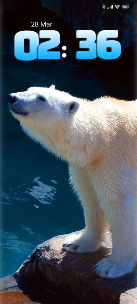 polar bear screenshot