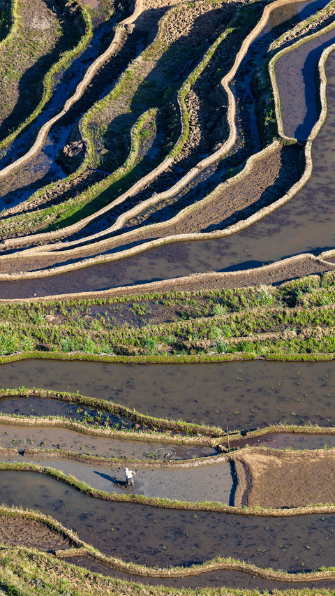 Beautiful Terraces screenshot