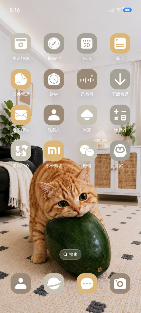 OS 夏日冬瓜猫 screenshot