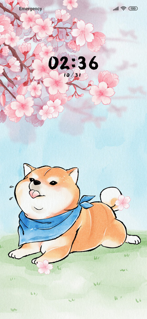 Cute Shiba Inu screenshot