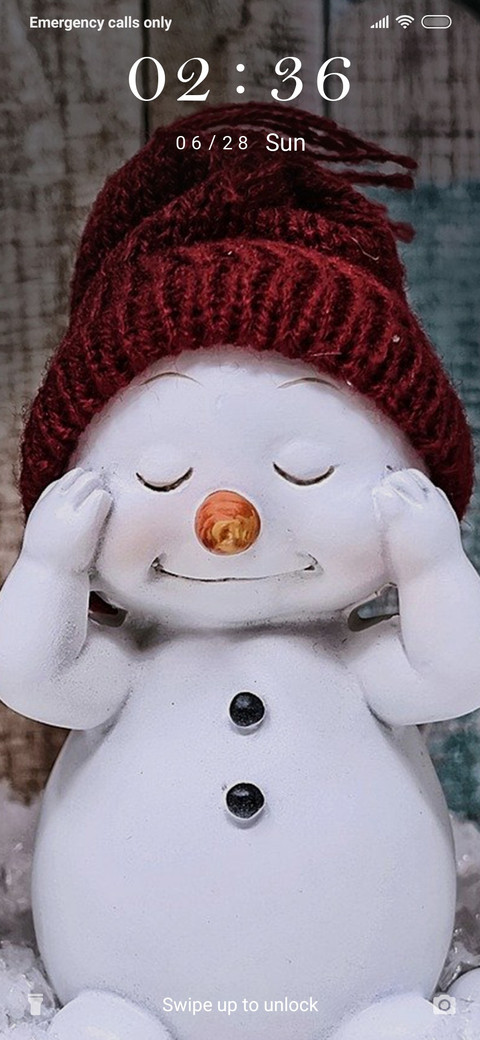 Cute Snowman_3MDS screenshot