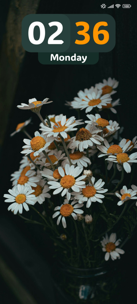 Spring Vases screenshot