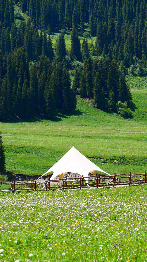 Grassland pine forest screenshot