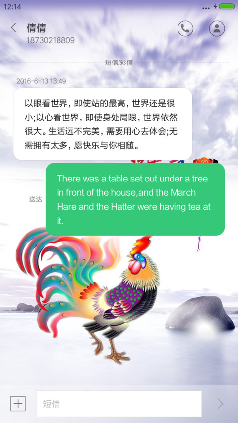 鸡年吉祥 screenshot