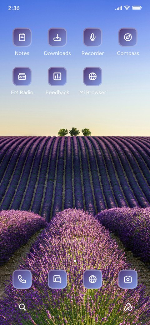 Lavender Field screenshot