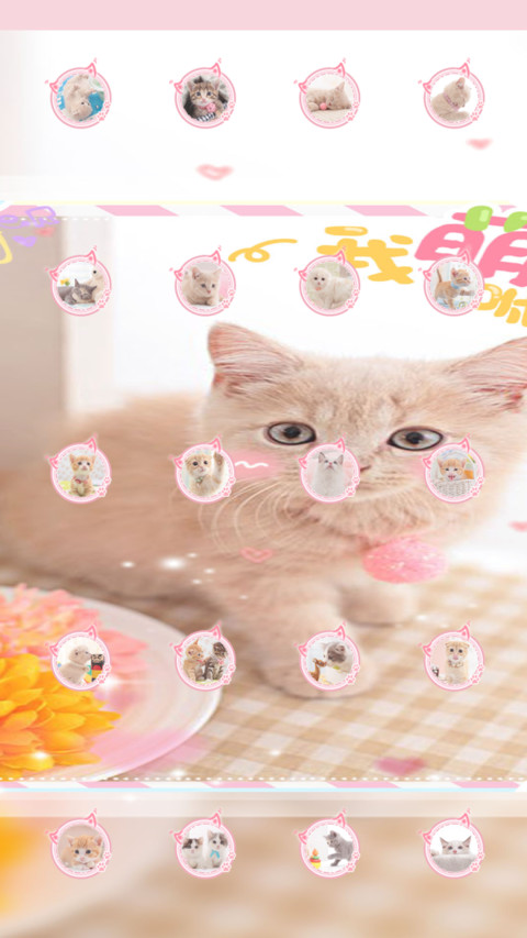 快乐小萌猫 screenshot
