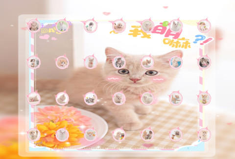 快乐小萌猫 screenshot