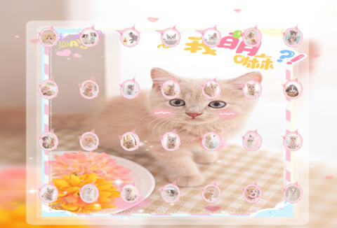 快乐小萌猫 screenshot