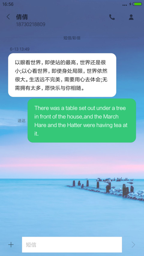 【好评送收费主题兑换码】暮色 screenshot