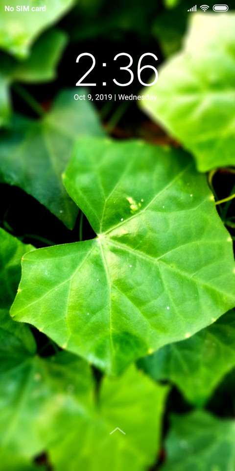 Leaves_DWM2 screenshot