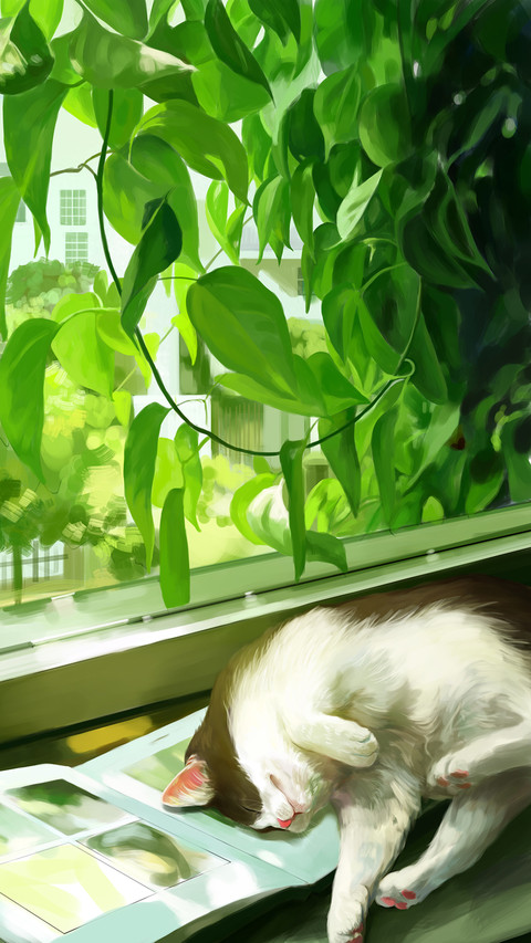 想要变成猫 screenshot