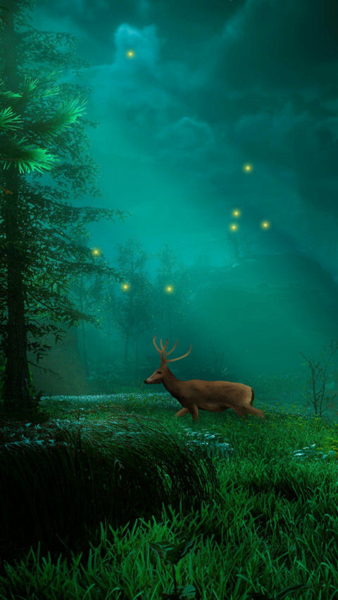 秘密森林 screenshot
