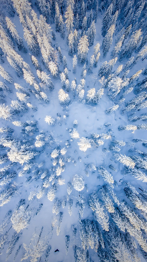 Snow falls on mountains and rivers and the years turn white screenshot