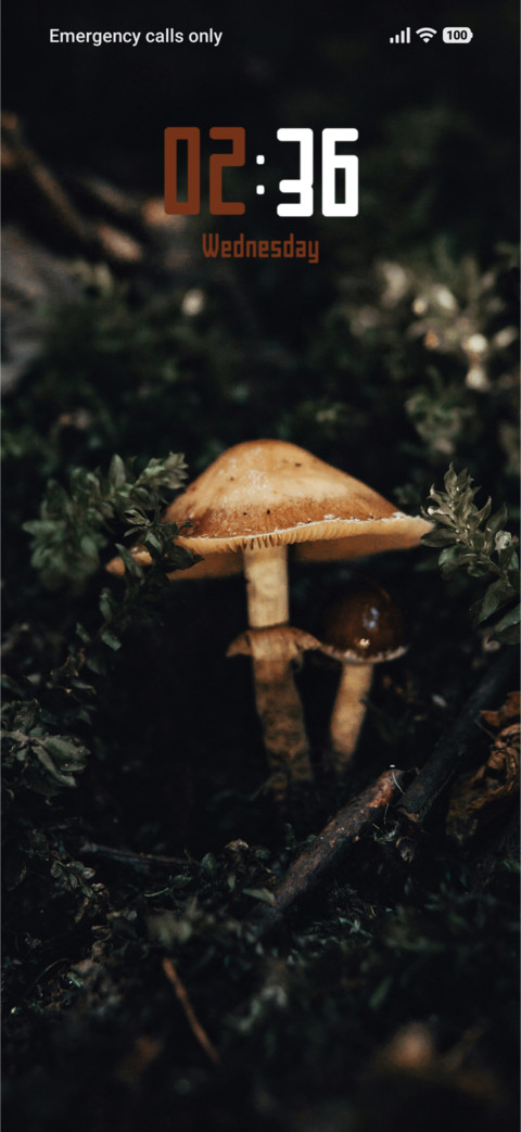Fairy Msuhrooms screenshot