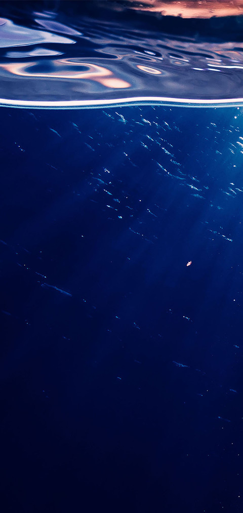 水至清 screenshot