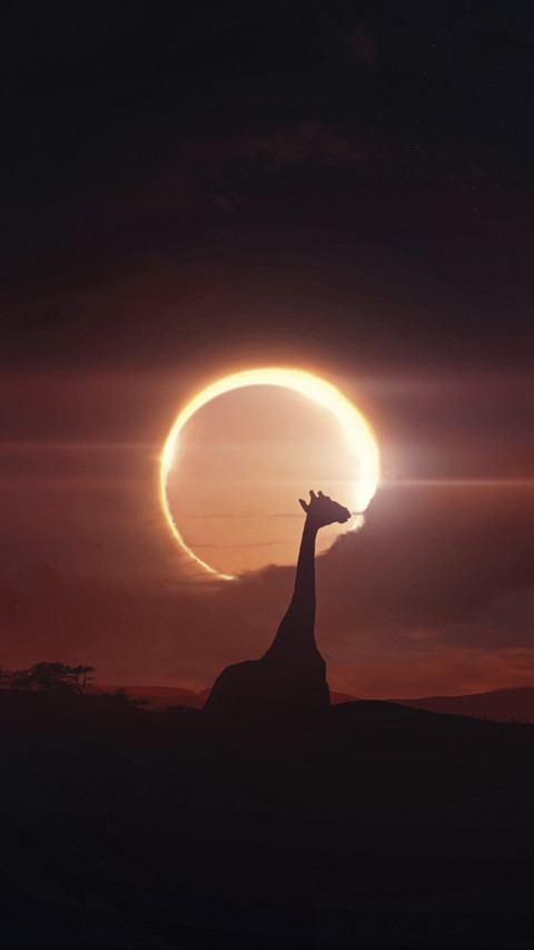 Can animals perceive solar eclipses 69 screenshot