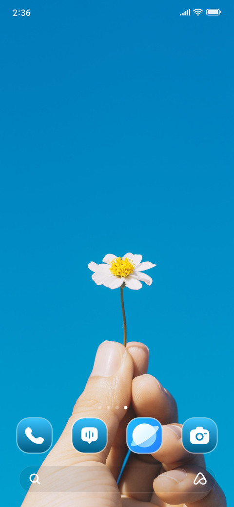 Blooming Flowers screenshot