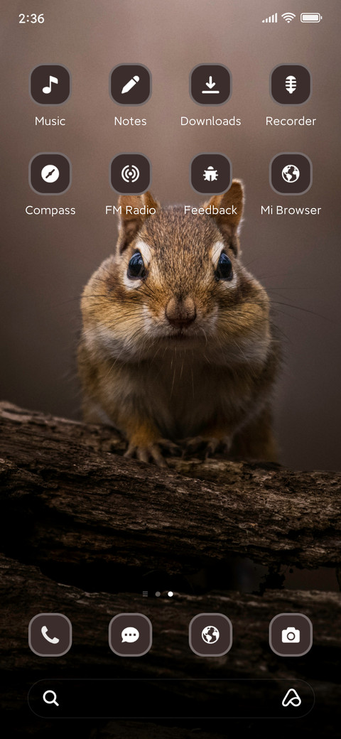Cute Squirrel screenshot