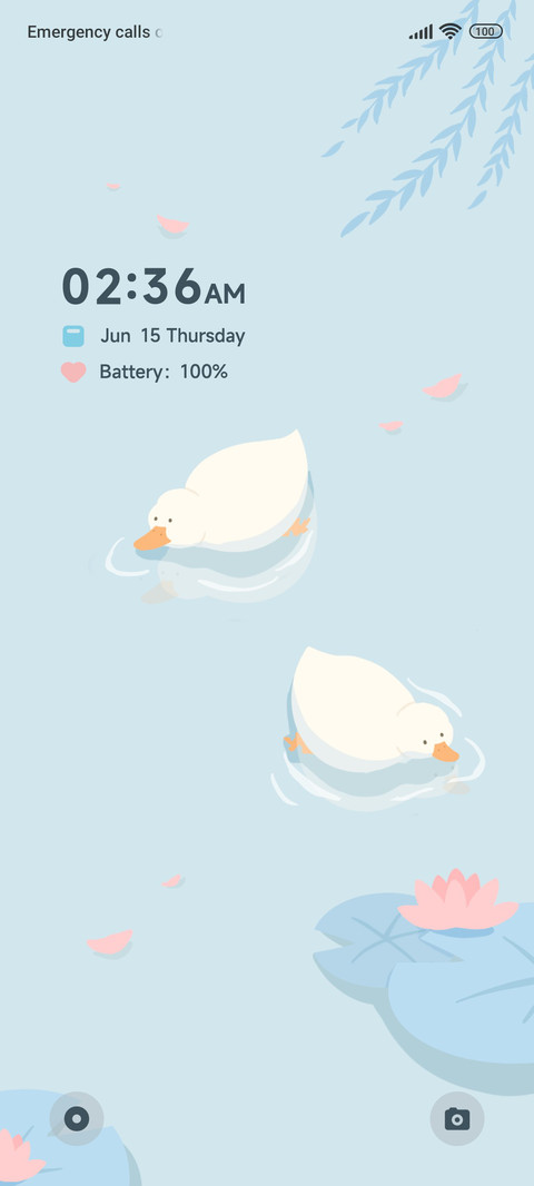 Pond Duck screenshot