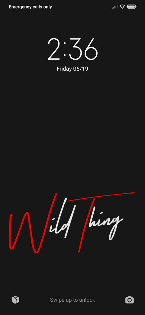 WildThing screenshot