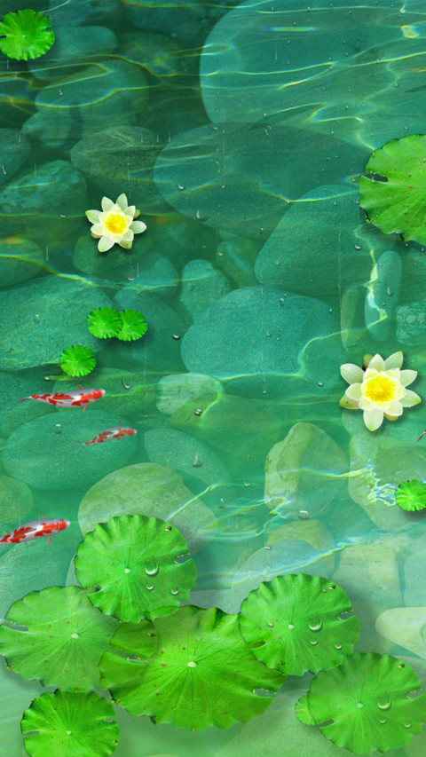 池塘鱼趣 screenshot