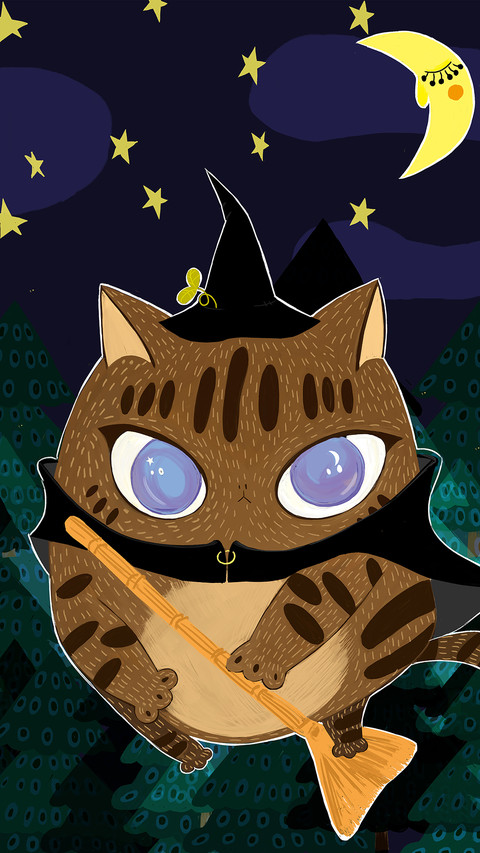 星光猫-【视觉中国】 screenshot