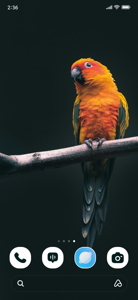 Sunset Parrot screenshot