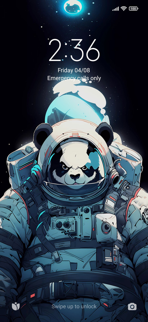 Panda astronaut screenshot