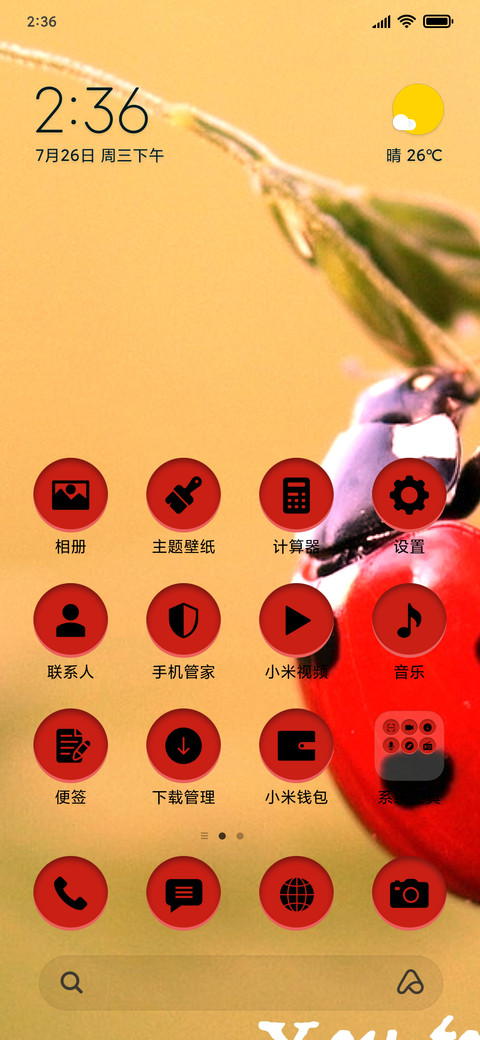 Ladybug_3MDS screenshot