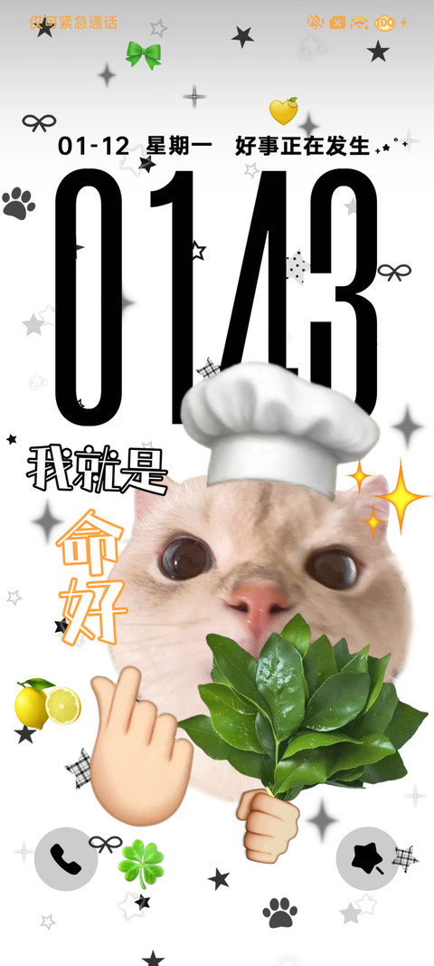 好运 高雅可爱小猫 screenshot