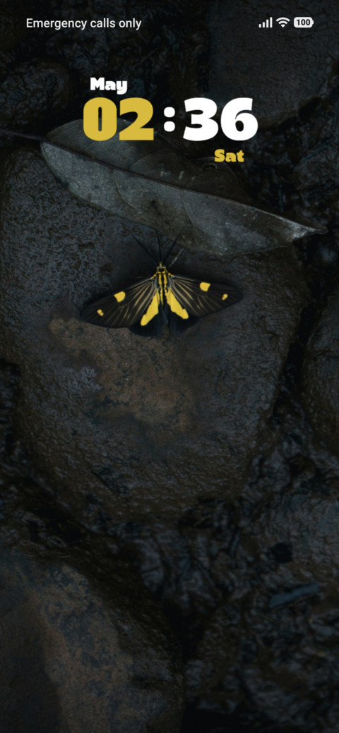Butterfly screenshot