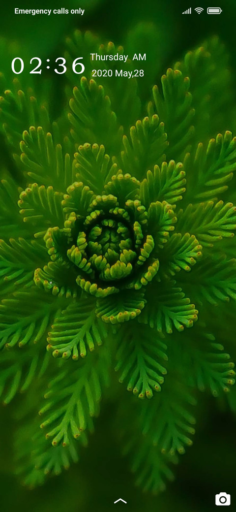 Simple green screenshot
