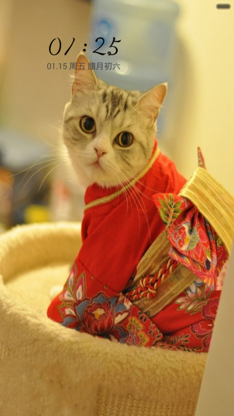 萌得嘶猫 screenshot