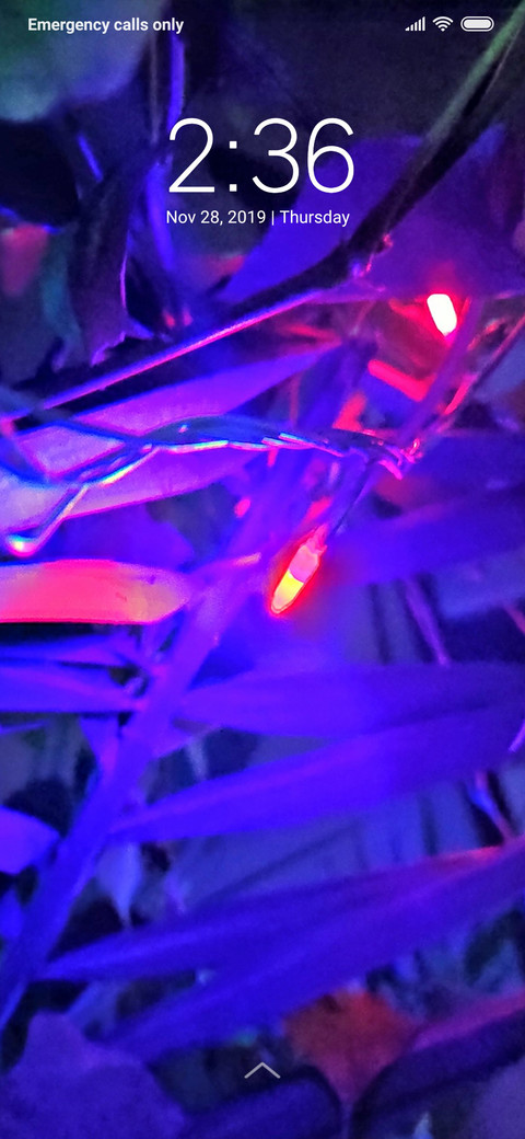 Purple Bulb_DWM3 screenshot