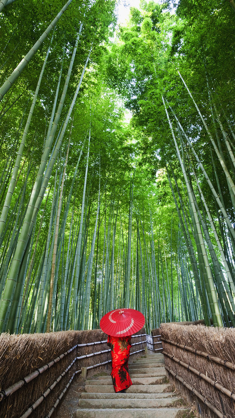 世外仙境京都岚山 screenshot