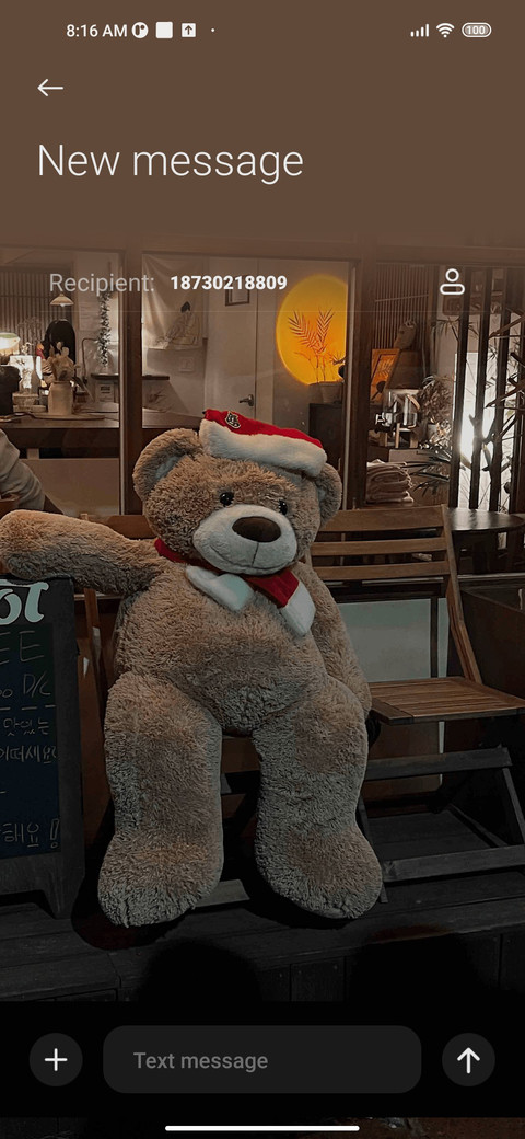 Bear bear is soft screenshot