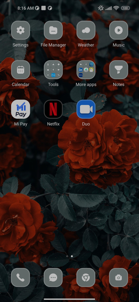 Red Roses screenshot