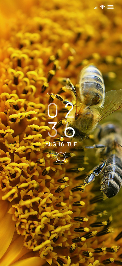 Bees screenshot