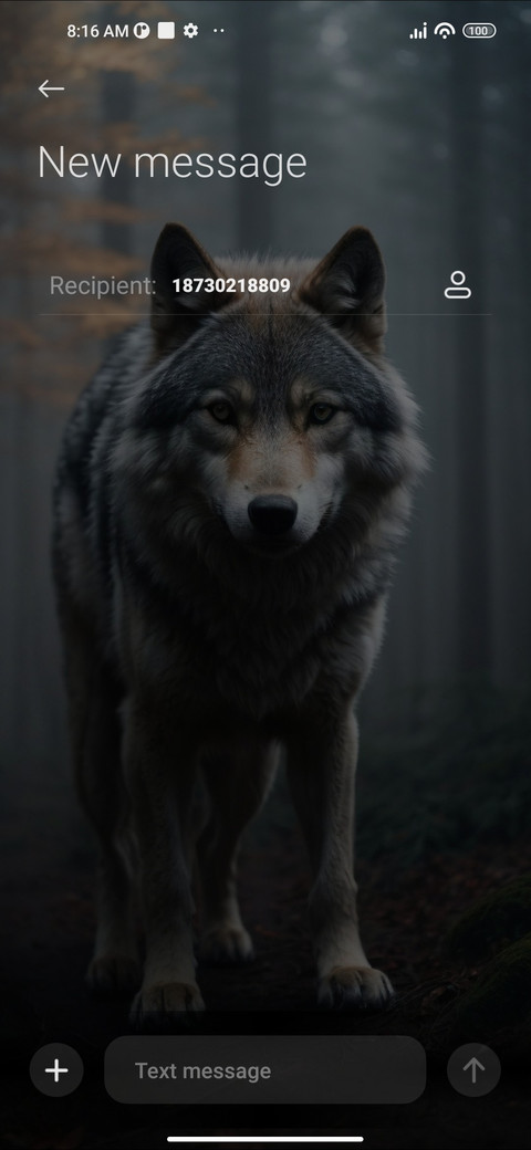 Wolf screenshot