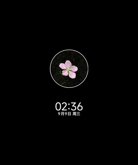 晚序秋意碎片 screenshot