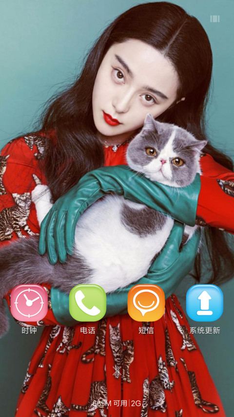 女神·范冰冰【多锁屏+全图标+自由桌面】 screenshot