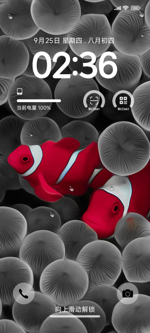 金鱼S screenshot
