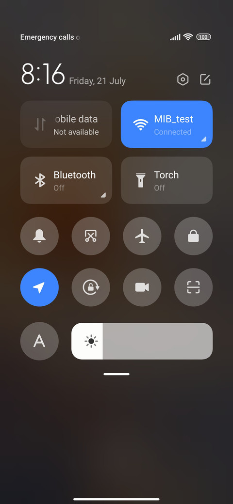 Blooming Flowers screenshot
