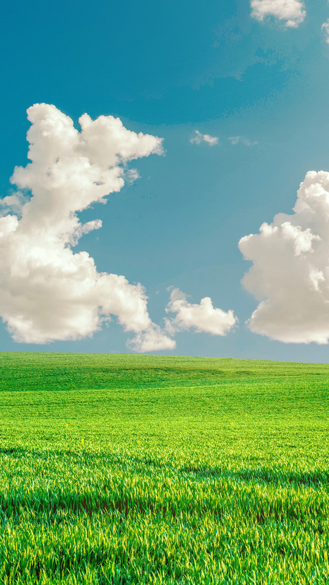 Green eye protection prairie wallpaper screenshot