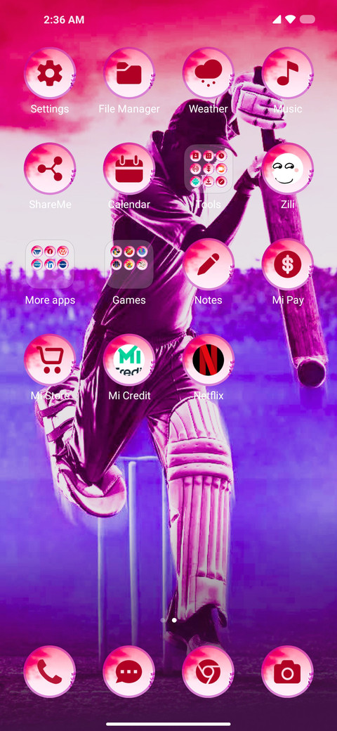 Hits Cricket screenshot